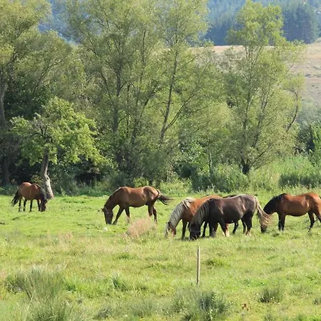 Διαμέρισμα Fortuna