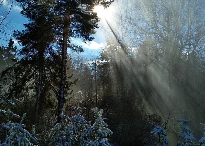 Fortuna Apartman Banszko