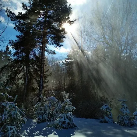 Fortuna شقة بانسكو