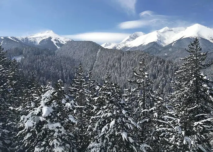 Fortuna 公寓 班斯科