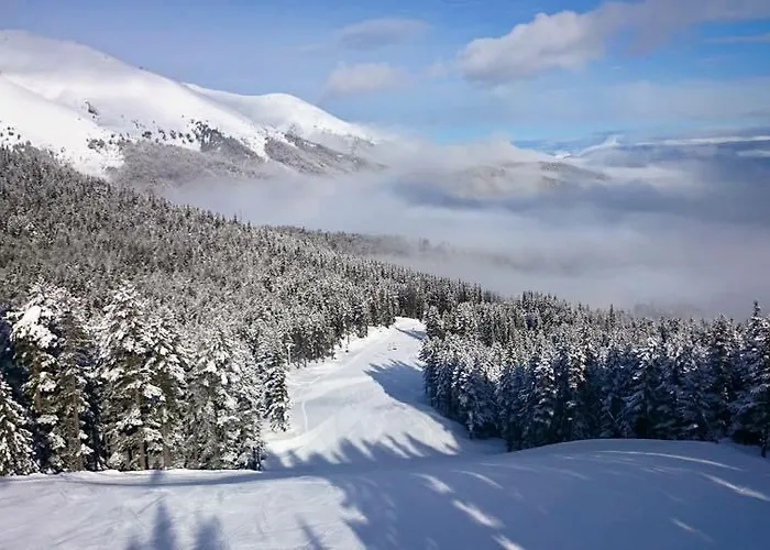 Fortuna 公寓 班斯科